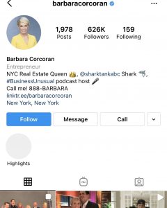 Pro Tips to Write Real Estate Instagram Bio in 2021